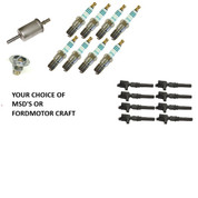 LFP 2V ECONO TUNE-UP PACKAGE FORD F150 SVT 99-04 LIGHTNING 2002-2003  HARLEY DAVIDSON PICKUP NGK TR6 4177 3W7Z-12029-AA / DG508 1999-04