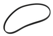 ACCESSORY DRIVE BELT 