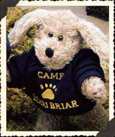 Boyds ~  INDY DOG * 2000 SPRING * CAMP BRIAR