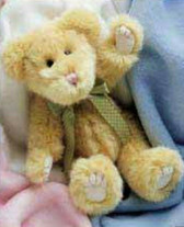 Baby Boyds Bear  ~  KOOKIE SNICKLEFRITZ  10" * NWT