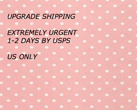 Shipping Upgrade , Extremely Urgent Service 1-2 days