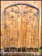 Rusty Garden Gate