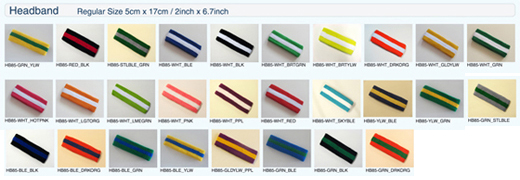 2-stripes-style-regular-sportheadband.jpg