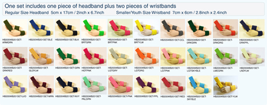 2010-headband-wristband-set-catalog.jpg
