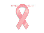 Pink Ribbon Breast Cancer Logo Symbol Awareness Magnet 1Piece