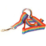 4' Foot - Gay Pride Rainbow Dog Leash - LGBT Gay and Lesbian Pride Pet Accessories