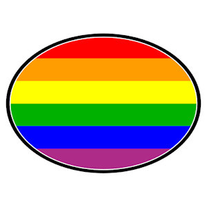 Rainbow Pride Symbols Coexist Pride LGBT Gay and Lesbian Car Magnet 