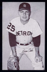 1962 Exhibit Black Stat Back Baseball # 007  Norm Cash   Detroit Tigers EX