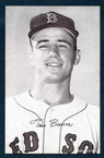 1947-66 Exhibit Baseball #  40  Tom Brewer (1961 only) Boston Red Sox EX