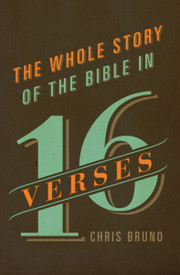 Whole Story Of The Bible In 16 Verses