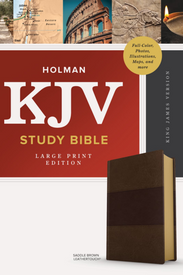 Holman KJV Study Bible - Large Print