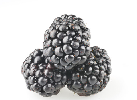 PG-Free Organic Blackberry e-juice by Velvet Vapors