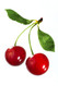 PG-Free Cherry e-juice by Velvet Vapors