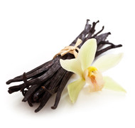 French Vanilla (Organic) PG-Free 50mL SALE!!