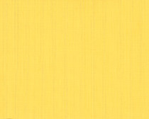 43D Yellow - A Grade