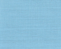 49D Surf - A Grade