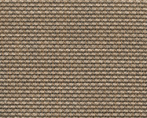 357 Latte - A Grade