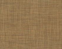 358 Pecan - A Grade