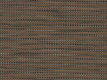 951 Bruno - B Grade