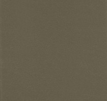 Textured Beachwood