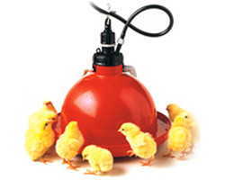 Plasson Broiler Bell Drinker.