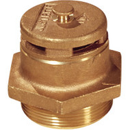 DA607 Drum VentsBrass2" NPT