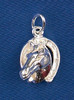 Sterling Silver Horse Head in a Horseshoe Charm or Pendant