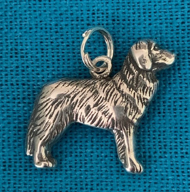 silver newfoundland dog