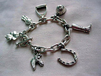 Sterling Silver Chunky Charms Charm Bracelet