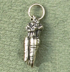 Sterling Silver Carrots Charm or Pendant