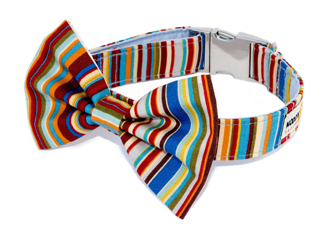 brighton dog collar