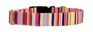 Clasp Collar [Newquay]