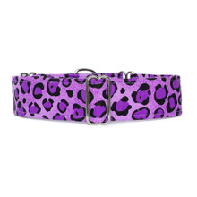 Martingale Collar [Leopard Purple]