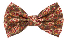Bow Tie [Paisley Gold]