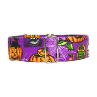 Martingale Collar [Trick or Treat]