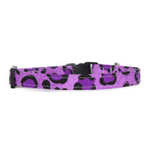 Cat Collar [Leopard Purple]