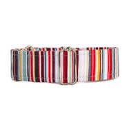 Martingale Collar [Torquay]