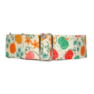 Martingale Collar [Pumpkin Vines]
