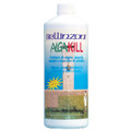 Bellinzoni Algae Remover for Stone