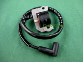 Onan Cummins 166-0859-02 RV Generator Ignition Coil 21 /" Lead fits HGJAB HGJAC