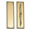 BRASS Accents Academy Push & Pull Plate Collection 3" x 12"