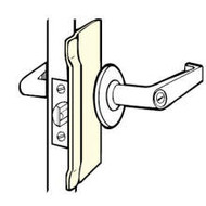 Latch Protector Key in Lever