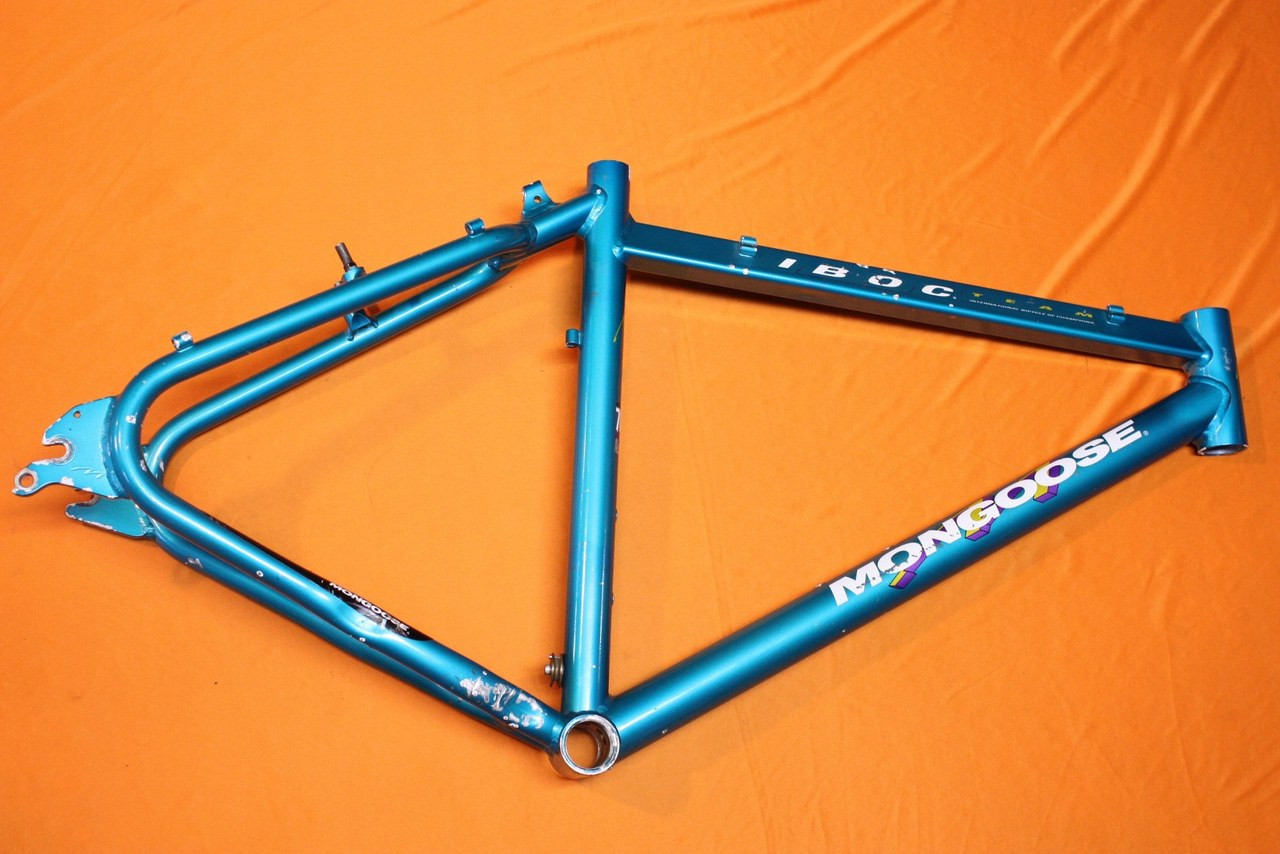 mongoose iboc team