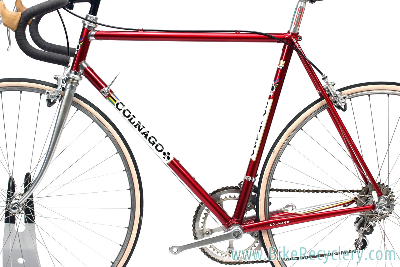 colnago super 1981