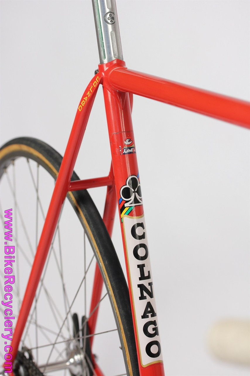 Colnago Super Pista Track Bike 54 5cm Pantograph Campagnolo