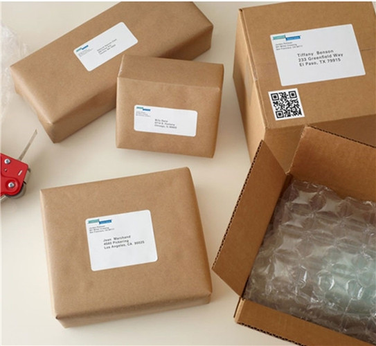 Plain White Label 48.5x20mm total 500 Sheets A4 Size 56 Labels per sheet - pakonline