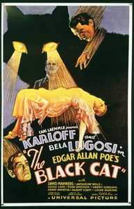 The Black Cat Movie Poster Bela Lugosi Boris Karloff Beautiful Full-Size Reprint