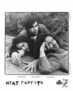 MEAT PUPPETS 8"x10" b&w Glossy Press Photo Too High to Die 1994 MINT