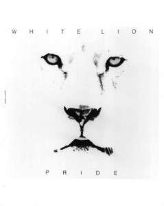 Atlantic Records 1988 White Lion Pride 8"x 10" b &w Glossy Photo and Press kit