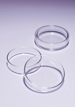 Pyrex Petri Dishes